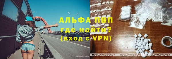 гашик Арсеньев