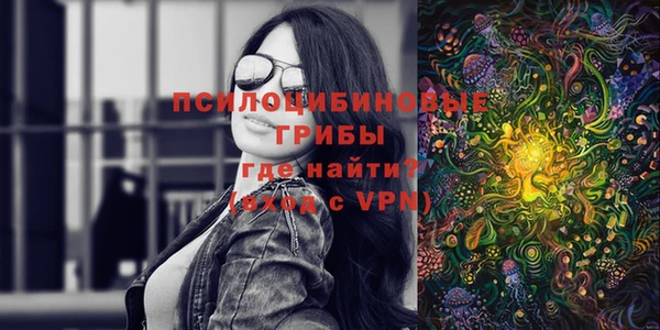 гашик Арсеньев