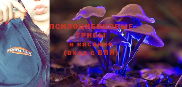 гашик Арсеньев